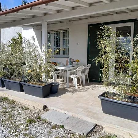 Il Cedro *