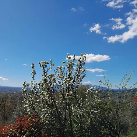 Il Cedro Πανσιόν Μοντεκατίνι Τέρμε