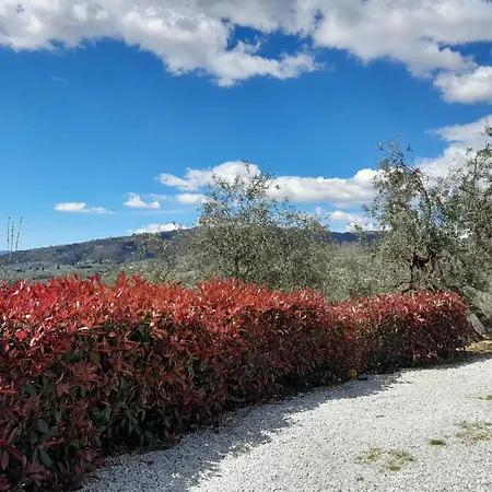 Il Cedro Πανσιόν *