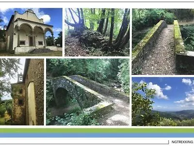 Affittacamere Il Cedro